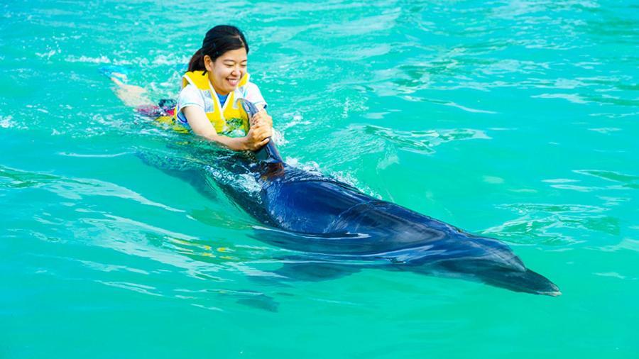 Marine Piazza Okinawa Hotell Motobu Exteriör bild